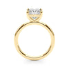 Princess Solitaire Engagement Ring