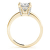 Princess Solitaire Hidden Halo Engagement Ring