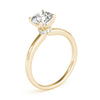 Round Solitaire Hidden Halo Engagement Ring